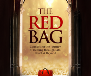 The Read Bag: Connecting the Journey of Healing through Life, Death & Beyond by Paige Valdiserri